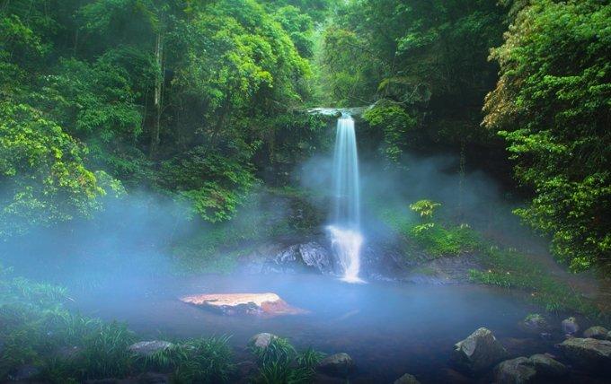 小汪汪
